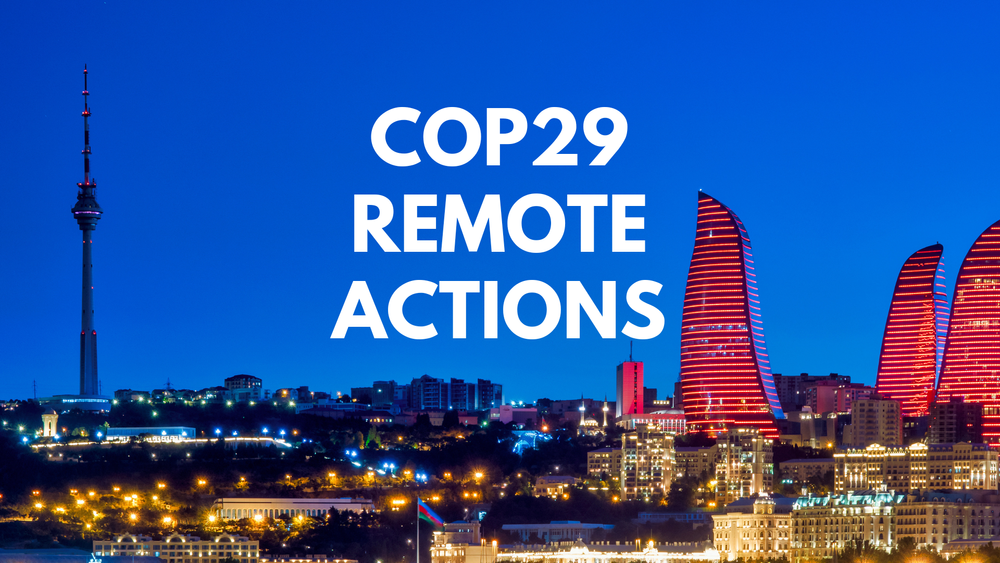 COP29 Remote actions post image