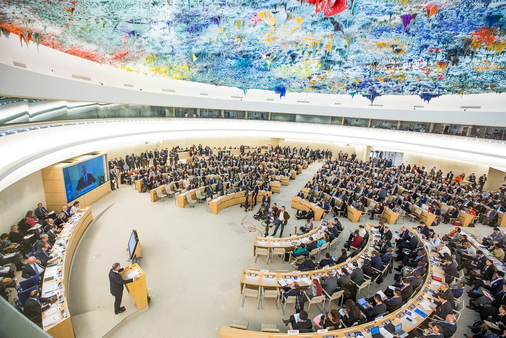Global Student Forum Hosts Information Session on Special Procedures of the Human Rights Council post feature image